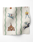 RUN AWAY TO THE CIRCUS
